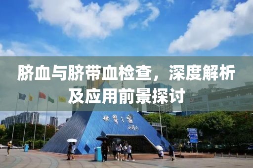 脐血与脐带血检查，深度解析及应用前景探讨