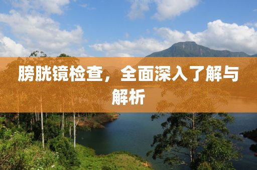 膀胱镜检查，全面深入了解与解析