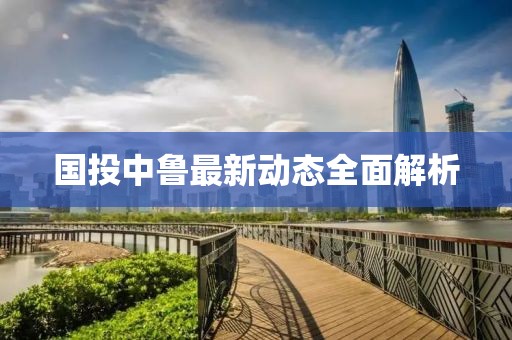 国投中鲁最新动态全面解析