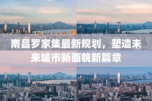 南昌罗家集最新规划，塑造未来城市新面貌新篇章