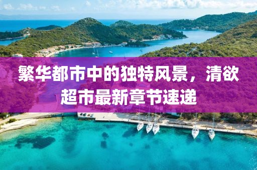2024年10月 第10页