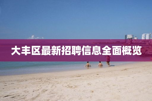 大丰区最新招聘信息全面概览