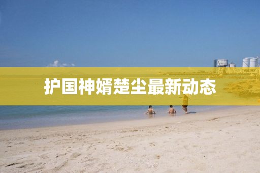 护国神婿楚尘最新动态