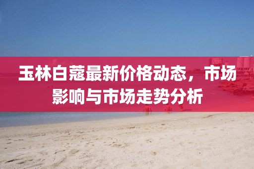 玉林白蔻最新价格动态，市场影响与市场走势分析