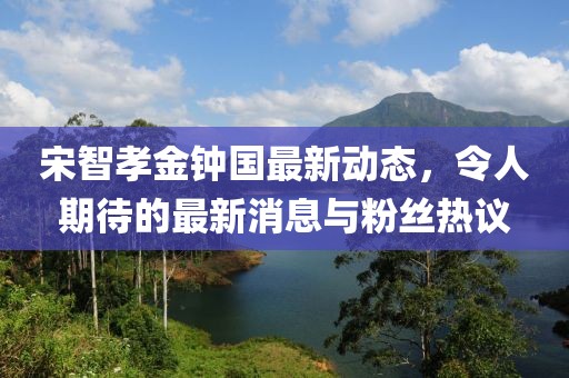 宋智孝金钟国最新动态，令人期待的最新消息与粉丝热议