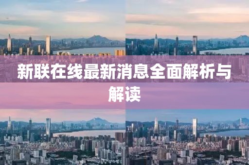 新联在线最新消息全面解析与解读