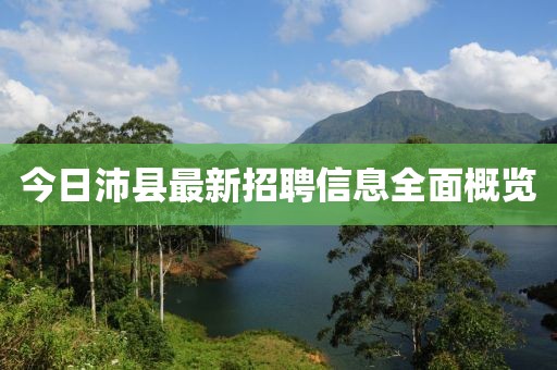 今日沛县最新招聘信息全面概览