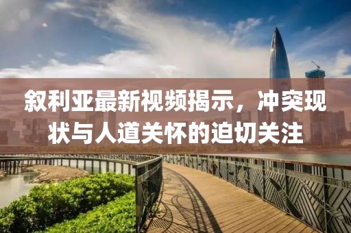 叙利亚最新视频揭示，冲突现状与人道关怀的迫切关注
