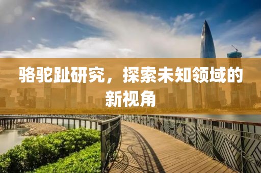 骆驼趾研究，探索未知领域的新视角