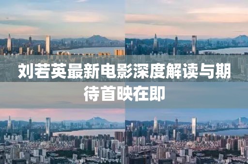 刘若英最新电影深度解读与期待首映在即