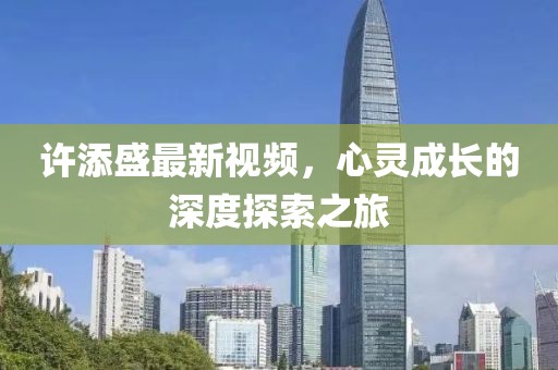 许添盛最新视频，心灵成长的深度探索之旅