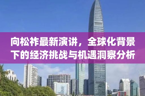向松祚最新演讲，全球化背景下的经济挑战与机遇洞察分析