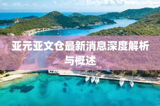 亚元亚文仓最新消息深度解析与概述