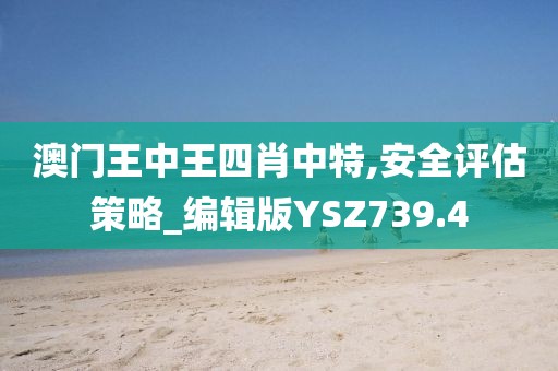 澳门王中王四肖中特,安全评估策略_编辑版YSZ739.4