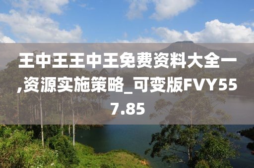 王中王王中王免费资料大全一,资源实施策略_可变版FVY557.85