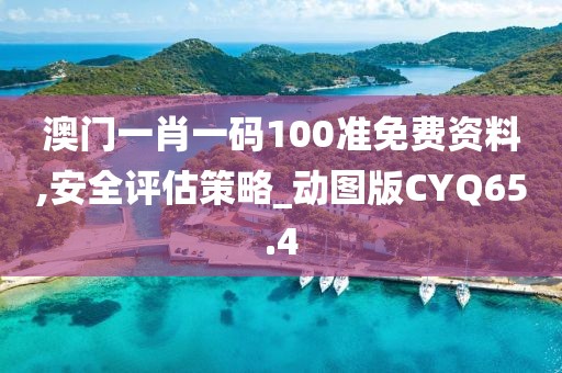 澳门一肖一码100准免费资料,安全评估策略_动图版CYQ65.4