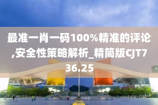 最准一肖一码100%精准的评论,安全性策略解析_精简版CJT736.25