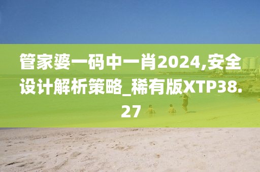管家婆一码中一肖2024,安全设计解析策略_稀有版XTP38.27