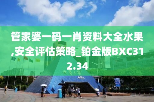管家婆一码一肖资料大全水果,安全评估策略_铂金版BXC312.34