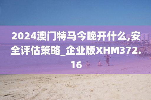 2024澳门特马今晚开什么,安全评估策略_企业版XHM372.16