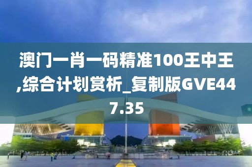 澳门一肖一码精准100王中王,综合计划赏析_复制版GVE447.35