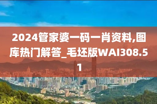 2024管家婆一码一肖资料,图库热门解答_毛坯版WAI308.51