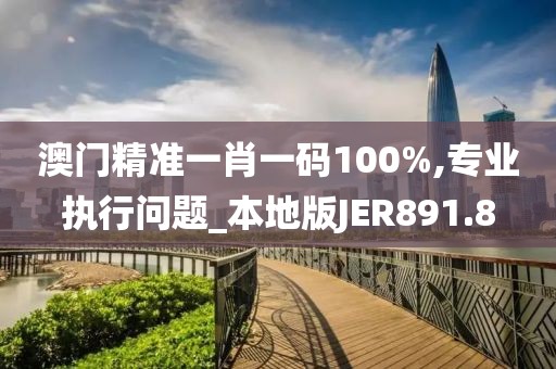 澳门精准一肖一码100%,专业执行问题_本地版JER891.8