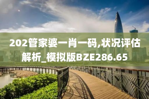 202管家婆一肖一码,状况评估解析_模拟版BZE286.65