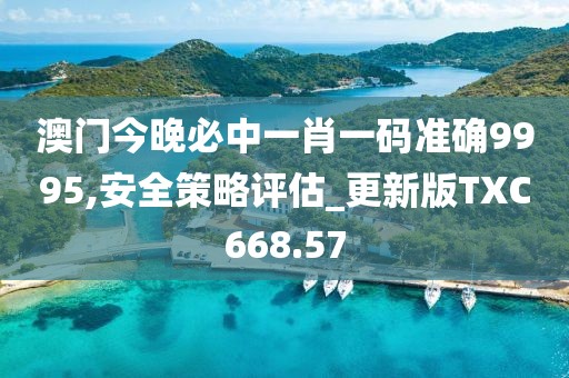 澳门今晚必中一肖一码准确9995,安全策略评估_更新版TXC668.57