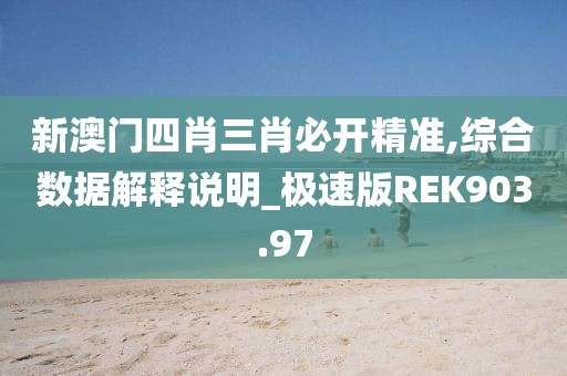 新澳门四肖三肖必开精准,综合数据解释说明_极速版REK903.97