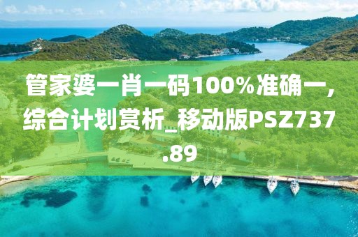 管家婆一肖一码100%准确一,综合计划赏析_移动版PSZ737.89