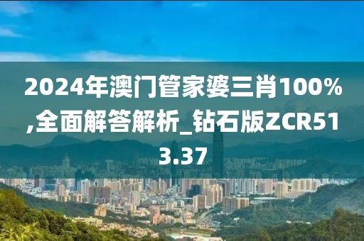 2024年澳门管家婆三肖100%,全面解答解析_钻石版ZCR513.37