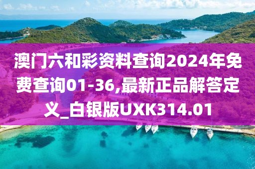 澳门六和彩资料查询2024年免费查询01-36,最新正品解答定义_白银版UXK314.01