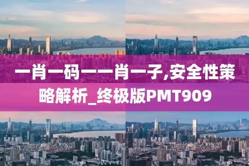 一肖一码一一肖一子,安全性策略解析_终极版PMT909