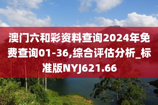 澳门六和彩资料查询2024年免费查询01-36,综合评估分析_标准版NYJ621.66