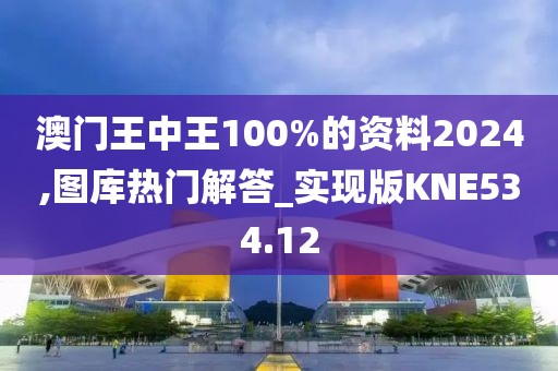 澳门王中王100%的资料2024,图库热门解答_实现版KNE534.12