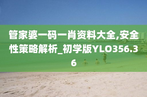 管家婆一码一肖资料大全,安全性策略解析_初学版YLO356.36