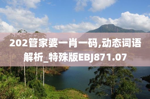 202管家婆一肖一码,动态词语解析_特殊版EBJ871.07