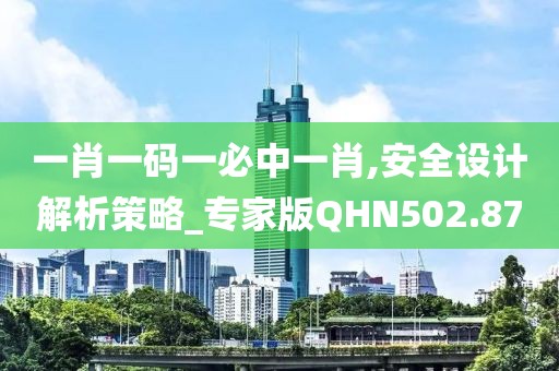 一肖一码一必中一肖,安全设计解析策略_专家版QHN502.87