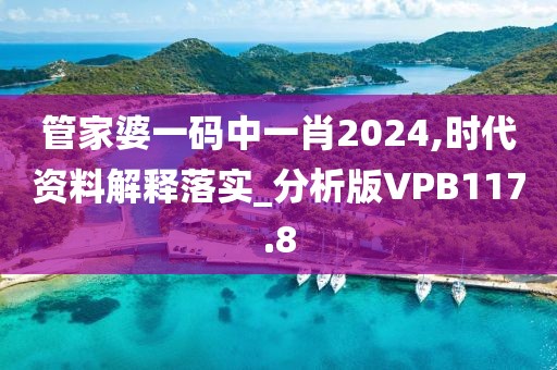 管家婆一码中一肖2024,时代资料解释落实_分析版VPB117.8