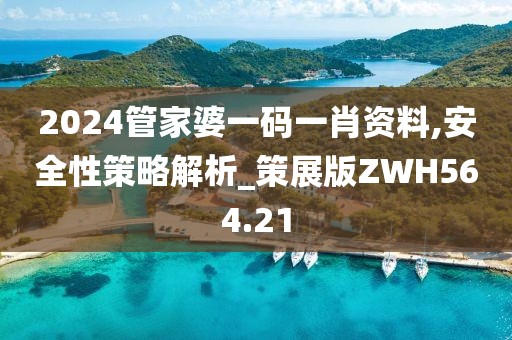 2024管家婆一码一肖资料,安全性策略解析_策展版ZWH564.21