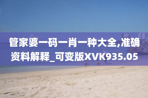 管家婆一码一肖一种大全,准确资料解释_可变版XVK935.05
