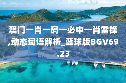 澳门一肖一码一必中一肖雷锋,动态词语解析_蓝球版BGV69.23