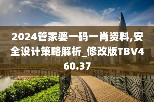 2024管家婆一码一肖资料,安全设计策略解析_修改版TBV460.37