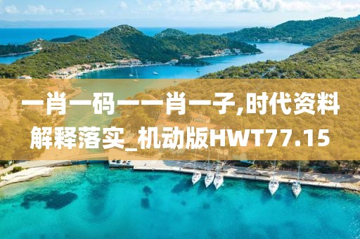 一肖一码一一肖一子,时代资料解释落实_机动版HWT77.15