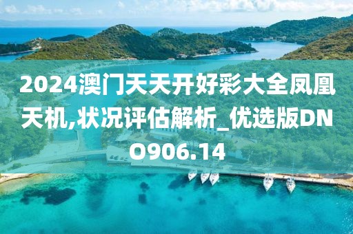 2024澳门天天开好彩大全凤凰天机,状况评估解析_优选版DNO906.14