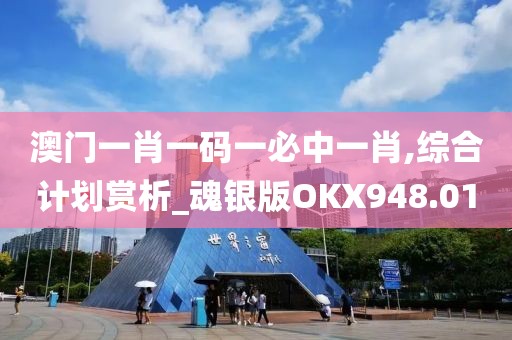澳门一肖一码一必中一肖,综合计划赏析_魂银版OKX948.01