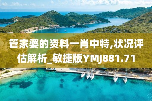 管家婆的资料一肖中特,状况评估解析_敏捷版YMJ881.71