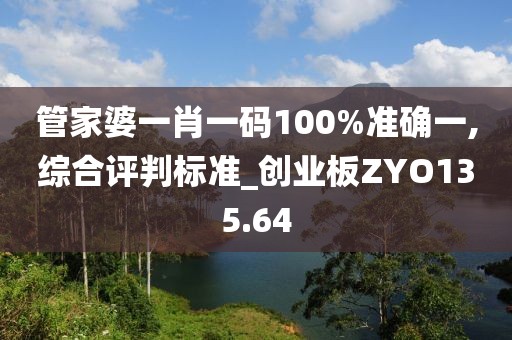 管家婆一肖一码100%准确一,综合评判标准_创业板ZYO135.64