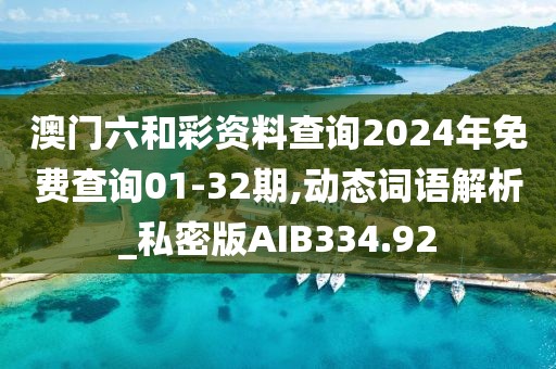 澳门六和彩资料查询2024年免费查询01-32期,动态词语解析_私密版AIB334.92